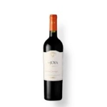 Bisquerrtt La Joya Gran Reserva Cabernet Sauvignon