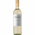 Nieto Senetiner Benjamin Chardonnay