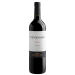 Nieto Senetiner Benjamin Malbec