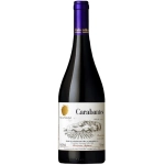 Von Siebenthal Carabantes Syrah