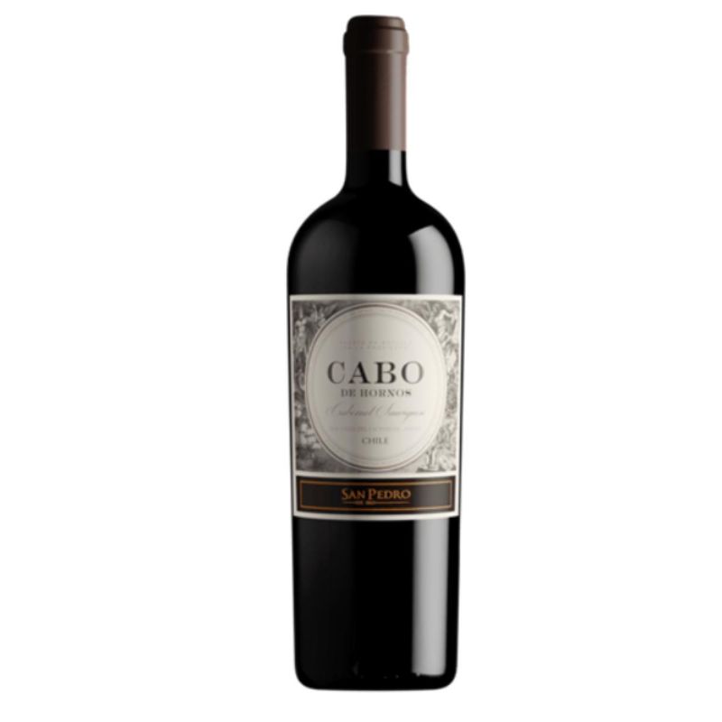 Vinho Lidio Carraro Puros Merlot & Cabernet Franc 2020 750mL